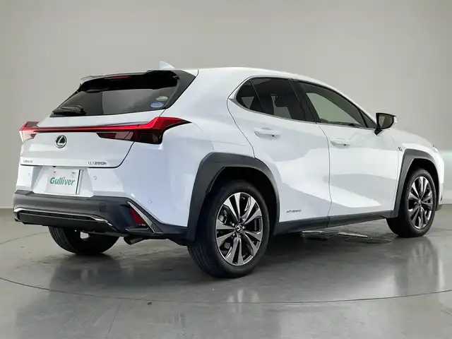 レクサス ＵＸ 250h Fスポーツ 愛知県 2021(令3)年 5.1万km ホワイトノーヴァガラスフレーク 純正ナビ　フルセグＴＶ　ムーンルーフ　全方位カメラ　三眼ＬＥＤライト　黒革　シートヒーター　電動リアゲート　衝突軽減　追従クルコン　コーナーセンサー　ＨＵＤ　ＢＳＭ　ハンドルヒーター　ＥＴＣ　禁煙車