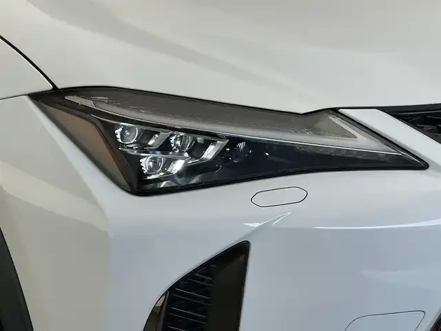 レクサス ＵＸ 250h Fスポーツ 愛知県 2021(令3)年 5.1万km ホワイトノーヴァガラスフレーク 純正ナビ　フルセグＴＶ　ムーンルーフ　全方位カメラ　三眼ＬＥＤライト　黒革　シートヒーター　電動リアゲート　衝突軽減　追従クルコン　コーナーセンサー　ＨＵＤ　ＢＳＭ　ハンドルヒーター　ＥＴＣ　禁煙車