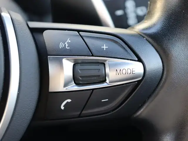 ＢＭＷ Ｘ２ xDrive20i MスポーツX 宮城県 2018(平30)年 2.4万km スパークリングストームブリリアントエフェクト ハイラインパッケージ/ブラックレザーシート/パワーシート/シートヒーター/メモリ付きシート/純正ＨＤＤナビ/バックカメラ/アンビエントライト/パーク・ディスタンス・コントロール/ダウンヒルアシストコントロール/クルーズコントロール/パーキングアシスト/レーンキープアシスト/パドルシフト/パワーバックドア/LEDヘッドライト/オートライト/アイドリングストップ/Bluetooth接続/プッシュスタート/スマートキー/純正19インチAW/前方ドライブレコーダー/ETC