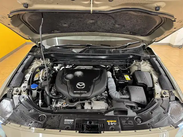 マツダ ＣＸ－５ XD ブラックトーンエディション 群馬県 2022(令4)年 4.2万km ジルコンサンドメタリック i-ACTIVSENSE/・衝突軽減ブレーキ/・ブラインドスポットモニタリング/・レーンキープアシストシステム/・クリアランスソナー/・速度標識警報/・車線逸脱警報システム/・レーダークルーズコントロール/純正メーカーナビ/・フルセグTV/・Bluetooth/・AppleCarPlay/AndroidAuto/・FM/AM/USB/BOSE/360°ビューモニター/ドライブレコーダー/ETC/パワーバックドア/ヘッドアップディスプレイ/革巻きステアリング/ステアリングスイッチ/パドルシフト/ステアリングヒーター/ブラックハーフレザーシート/運転席パワーシート/前席シートヒーター/電子パーキング/ブレーキオートホールド/スマートキー/プッシュスタート/LEDヘッドライト/オートライト/置くだけ充電/純正19インチAW/純正フロアマット/ドアバイザー/電動格納ウィンカーミラー/横滑り防止機能