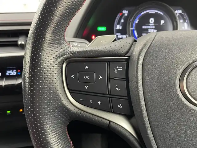 レクサス ＵＸ 250h Fスポーツ 埼玉県 2019(令1)年 4.5万km ホワイトノーヴァガラスフレーク ＴＲＤエアロ　サンルーフ　メーカナビ　パノラミックビューモニター　ＢＳＭ　ＥＴＣ２．０　ドラレコ　赤レザー　レーダークルーズ　シートヒーター　ステアリングヒーター　メモリシート　ＡＣ１００Ｖ　ＬＥＤ