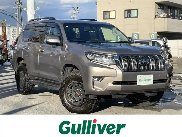 トヨタ ランドクルーザー プラド TX 長野県 2019(平31)年 18.8万km アバンギャルドブロンズメタリック ワンオーナー/アルパインナビ/フルセグテレビ/AM/FM/Bluetooth/HDMI・IPod/USB/バックカメラ/クルーズコントロール/プッシュスタート/ドアバイザー/ETC/ヘッドライトウォッシャー/フォグランプ/LEDヘッドライト/4WD/17インチAW/保証書/取扱説明書/記録簿/スペアキー/パワーウィンドウ/レザーシート/純正フロアマット/レーンキープアシスト/オールテレーンタイヤ