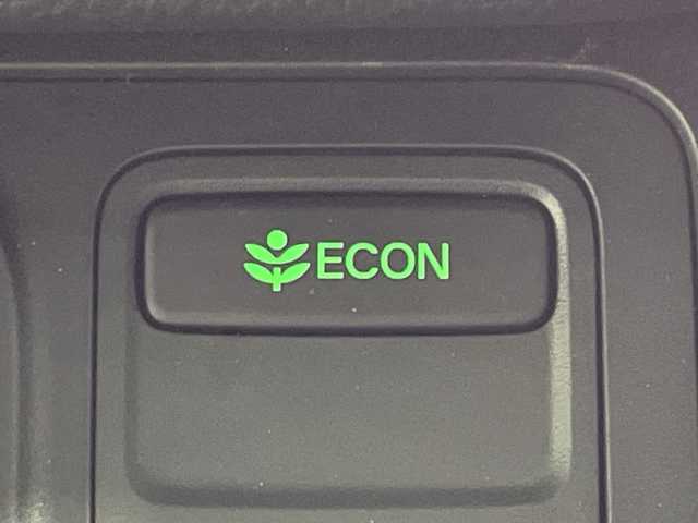 ホンダ ステップワゴン スパーダ eHEV 神奈川県 2025(令7)年 0.1千km プラチナホワイトパール 登録済未使用車/純正11.4型メモリーホンダコネクトナビゲーション【LXM-247VfLi】/フルセグ　Bluetooth　CD DVD　SD　USB　/バックカメラ/両側電動スライドドア/パワーバックドア/ホンダセンシング/CMBS衝突軽減ブレーキ/LKAS車線維持支援システム/路外逸脱制御機能/渋滞運転支援機能/誤発進抑制機能/ブラインドスポットインフォメーション/レーダークルーズコントロール/ECON/アイドリングストップ/ハーフレザーシート/前席シートヒーター/革巻きステアリング/パドルシフト/ステアリングスイッチ/電動パーキングブレーキ/オートブレーキホールド/プッシュスタート/スマートキー/LEDヘッドランプ/フロントフォグランプ/純正16インチアルミホイール/電格ウインカーミラー/取説　保証書　スペアキー