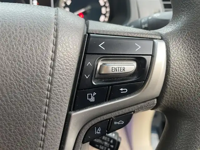 トヨタ ランドクルーザー プラド TX 富山県 2019(平31)年 5.1万km ブラッキッシュアゲハガラスフレーク ワンオーナー／/純正ナビ／/フルセグＴＶ／/Ｂｌｕｅｔｏｏｔｈ／/ＤＶＤ再生／/バックカメラ／/前後ドライブレコーダー／/コーナーセンサー／/シートヒーター／/革調シートカバー／/ＬＥＤオートライト／/ＬＥＤフォグライト/純正エンジンスターター