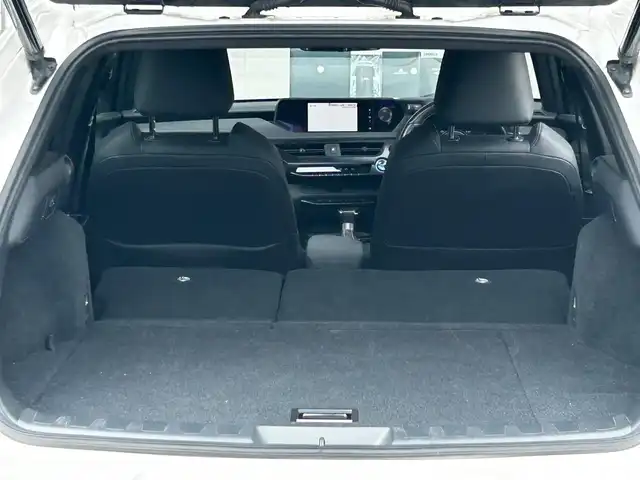 レクサス ＵＸ 250h バージョンC 富山県 2020(令2)年 5.4万km パール ワンオーナー/HDDナビ/フルセグテレビ/Bluetooth接続/Miracast/AM/FMラジオ/バックカメラ/サンルーフ/アイドリングストップ/ACC/黒革シート/D/N席シートヒーター/D/N席パワーシート/ステアリングヒーター/サンルーフ/プッシュスタート/パワーバックドア/ETC2.0/前後ドラレコ