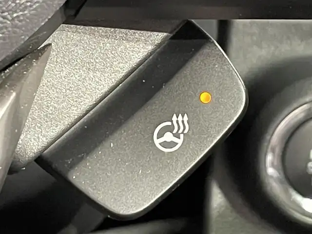 スバル フォレスター ハイブリッド アドバンス 愛知県 2021(令3)年 3.9万km ＤグリーンＭ ＡＬＰＩＮＥナビ　/（Bluetooth/FM/AM/フルセグTV/SD/USB/CD・DVD再生)/アイサイト　/茶レザーシート/視界拡張（フロントカメラ・サイドカメラ）/衝突軽減ブレーキ　/レーダークルーズコントロール/ビルトインＥＴＣ　/シートヒーター　/デジタルインナーミラー　/電動バックドア　/バックカメラ　/ドライブレコーダー　/ステアリングヒーター　/メモリー機能付パワーシート　/ブラインドスポットモニター（ＢＳＭ）/車線逸脱警報/USB接続/LEDヘッドライト/LEDフォグ/プッシュスタート/　　-スマートキー