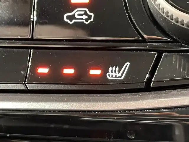 スバル フォレスター ハイブリッド アドバンス 愛知県 2021(令3)年 3.9万km ＤグリーンＭ ＡＬＰＩＮＥナビ　/（Bluetooth/FM/AM/フルセグTV/SD/USB/CD・DVD再生)/アイサイト　/茶レザーシート/視界拡張（フロントカメラ・サイドカメラ）/衝突軽減ブレーキ　/レーダークルーズコントロール/ビルトインＥＴＣ　/シートヒーター　/デジタルインナーミラー　/電動バックドア　/バックカメラ　/ドライブレコーダー　/ステアリングヒーター　/メモリー機能付パワーシート　/ブラインドスポットモニター（ＢＳＭ）/車線逸脱警報/USB接続/LEDヘッドライト/LEDフォグ/プッシュスタート/　　-スマートキー