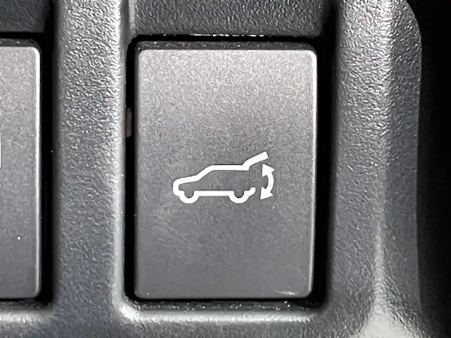 スバル フォレスター ハイブリッド アドバンス 愛知県 2021(令3)年 3.9万km ＤグリーンＭ ＡＬＰＩＮＥナビ　/（Bluetooth/FM/AM/フルセグTV/SD/USB/CD・DVD再生)/アイサイト　/茶レザーシート/視界拡張（フロントカメラ・サイドカメラ）/衝突軽減ブレーキ　/レーダークルーズコントロール/ビルトインＥＴＣ　/シートヒーター　/デジタルインナーミラー　/電動バックドア　/バックカメラ　/ドライブレコーダー　/ステアリングヒーター　/メモリー機能付パワーシート　/ブラインドスポットモニター（ＢＳＭ）/車線逸脱警報/USB接続/LEDヘッドライト/LEDフォグ/プッシュスタート/　　-スマートキー