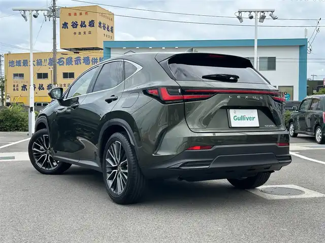 レクサス ＮＸ 250 バージョンL 愛媛県 2023(令5)年 1.8万km テレーンカーキマイカM 登録時走行距離：17799km/メーカーオプション純正HDナビ/AM/FM/フルセグTV/Bluetooth/ビルトインETC2.0/全周囲カメラ/前後ドラレコ/電動リアゲート/パドルシフト/追従クルコン/レザーシート/衝突軽減システム/横滑り防止装置/盗難防止装置/レーンキープアシスト/LEDヘッドライト/オートライト/オートハイビーム/エンジンスタートボタン/スマートキー/スペアキー/純正アルミホイール/純正フロアマット/シートーヒーター/エアシート