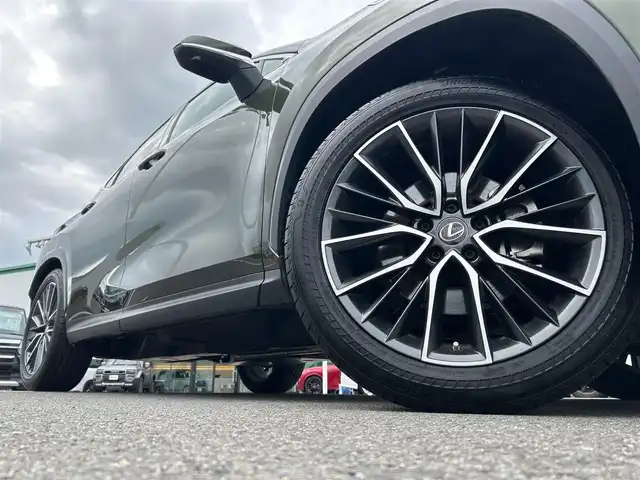 レクサス ＮＸ 250 バージョンL 愛媛県 2023(令5)年 1.8万km テレーンカーキマイカM 登録時走行距離：17799km/メーカーオプション純正HDナビ/AM/FM/フルセグTV/Bluetooth/ビルトインETC2.0/全周囲カメラ/前後ドラレコ/電動リアゲート/パドルシフト/追従クルコン/レザーシート/衝突軽減システム/横滑り防止装置/盗難防止装置/レーンキープアシスト/LEDヘッドライト/オートライト/オートハイビーム/エンジンスタートボタン/スマートキー/スペアキー/純正アルミホイール/純正フロアマット/シートーヒーター/エアシート