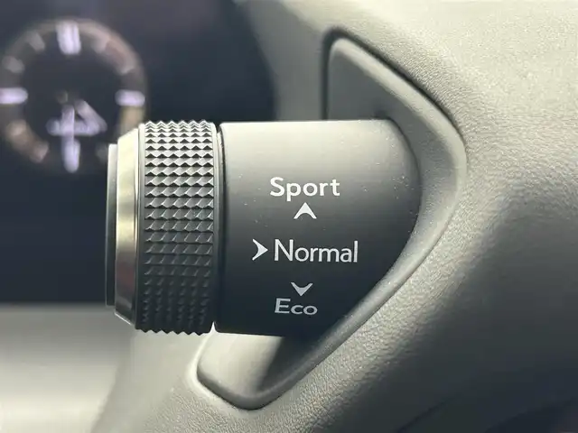 レクサス ＵＸ 250h Fスポーツ 熊本県 2019(平31)年 3.3万km ホワイトノーヴァガラスフレーク 禁煙車/レクサスセーフティシステム/純正12.3型ディスプレイオーディオナビTV/純正バックカメラ/純正ビルトイン2.0ETC/純正LEDオートライト/純正LEDフォグ/純正18インチアルミ/純正フロアマット/プリクラッシュセーフティ/アダプティブクルーズコントロール/レーンディパーチャーアラート/オートマチックハイビーム/ブラインドスポットモニター/前後クリアランスソナー/パワーバックドア/赤本革シート/パワーシート/シートヒーター/ステアリングヒーター/デュアルオートエアコン（ナノイー）/スマートキー/プッシュエンジンスタート/スペアキー/保証書/取扱い説明書