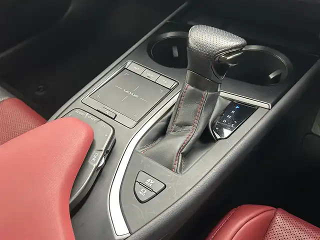 レクサス ＵＸ 250h Fスポーツ 熊本県 2019(平31)年 3.3万km ホワイトノーヴァガラスフレーク 禁煙車/レクサスセーフティシステム/純正12.3型ディスプレイオーディオナビTV/純正バックカメラ/純正ビルトイン2.0ETC/純正LEDオートライト/純正LEDフォグ/純正18インチアルミ/純正フロアマット/プリクラッシュセーフティ/アダプティブクルーズコントロール/レーンディパーチャーアラート/オートマチックハイビーム/ブラインドスポットモニター/前後クリアランスソナー/パワーバックドア/赤本革シート/パワーシート/シートヒーター/ステアリングヒーター/デュアルオートエアコン（ナノイー）/スマートキー/プッシュエンジンスタート/スペアキー/保証書/取扱い説明書