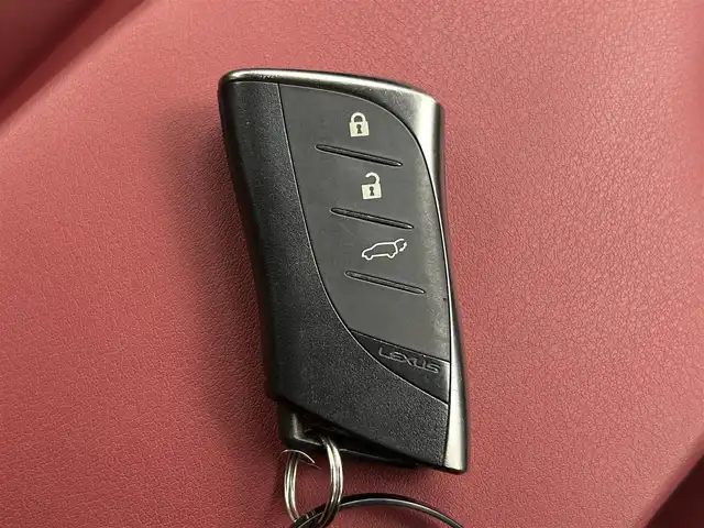 レクサス ＵＸ 250h Fスポーツ 熊本県 2019(平31)年 3.3万km ホワイトノーヴァガラスフレーク 禁煙車/レクサスセーフティシステム/純正12.3型ディスプレイオーディオナビTV/純正バックカメラ/純正ビルトイン2.0ETC/純正LEDオートライト/純正LEDフォグ/純正18インチアルミ/純正フロアマット/プリクラッシュセーフティ/アダプティブクルーズコントロール/レーンディパーチャーアラート/オートマチックハイビーム/ブラインドスポットモニター/前後クリアランスソナー/パワーバックドア/赤本革シート/パワーシート/シートヒーター/ステアリングヒーター/デュアルオートエアコン（ナノイー）/スマートキー/プッシュエンジンスタート/スペアキー/保証書/取扱い説明書