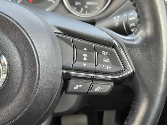 マツダ ＣＸ－８ XD プロアクティブ 鹿児島県 2018(平30)年 6.5万km マシーングレープレミアムM ワンオーナー/純正ナビ(Bluetooth/CD/DVD)/フルセグTV/バックカメラ/レーダークルーズコントロール/パーキングセンサー/アドバンスドスマートシティブレーキサポート/ブラインドスポットモニタリング/スマートブレーキサポート/レーンキープアシストシステム/交通標識認識システム/アクティブドライビングディスプレイ/ドライバーアテンションアラート/車線逸脱警報システム/ツインターボ/アダプティブLEDヘッドランプ/デュアルオートエアコン/本革巻きステアリング/ステアリングヒーター/D席ドライビングポジションメモリー/前席シートヒーター/2列目キャプテンシート/プレシャスアスト19インチアルミホイール/アドバンストキー/キーレスエントリーシステム/禁煙車
