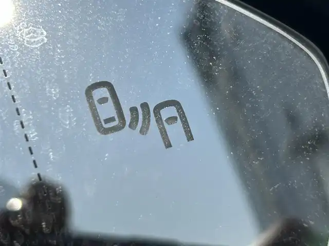 フォルクスワーゲン ゴルフ TDI ハイライン マイスター 奈良県 2020(令2)年 0.9万km パール 純正ナビ　/フルセグＴＶ　/BT/CD/DVD/SD/AUX/USB/バックカメラ　/レザーシート　/ＥＴＣ２．０　/シートヒーター　/パワーシート　/ドライブレコーダー　/前後コーナーセンサー　/クルーズコントロール　/衝突被害軽減システム　/ＬＥＤヘッドライト/オートライト/レーンキープアシスト/スマートキー/ターボ付き/パーキングアシスト/AUTOHOLD