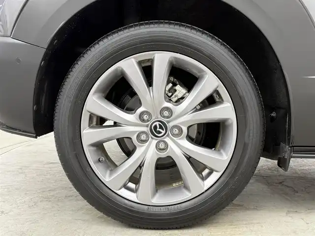 マツダ ＣＸ－３０ 20S プロアクティブ 埼玉県 2021(令3)年 4.6万km マシーングレープレミアムM 純正８インチナビ　フルセグ　ＣＤ／ＤＶＤ　ＢＴ　アラウンドビューモニター　フルセグ　前後ドライブレコーダー　ＥＴＣ　パワーバックドア　ＬＥＤヘッドライト　クリアランスソナー オートハイビーム