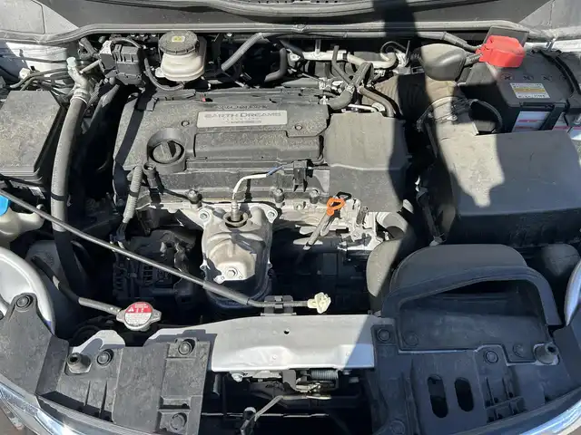 ホンダ オデッセイ アブソルート・EXホンダセンジング 滋賀県 2019(平31)年 6.1万km スーパープラチナメタリック 純正メーカーナビ/（AM/FM/CD/DVD/TVフルセグ//Bluetooth/USB/SD）/衝突軽減ブレーキ/両側パワースライドドア/レーンキープアシスト/レーダークルーズコントロール/コーナーセンサー/横滑り防止/ETC2.0/ステアリングスイッチ/ブラインドスポットモニター/360度カメラ（フロント/サイド/リア）/パーキングサポート/ハンズフリー/ECON/電動格納ミラー/シートヒーターD/N/プッシュスタート/スマートキー/アイドリングストップ/後席オットマン/HDMI/USB/ドライブレコーダー前後/パドルシフト/純正ドアバイザー/純正フロアマット/後席エアコン/オートライト/フロントフォグ