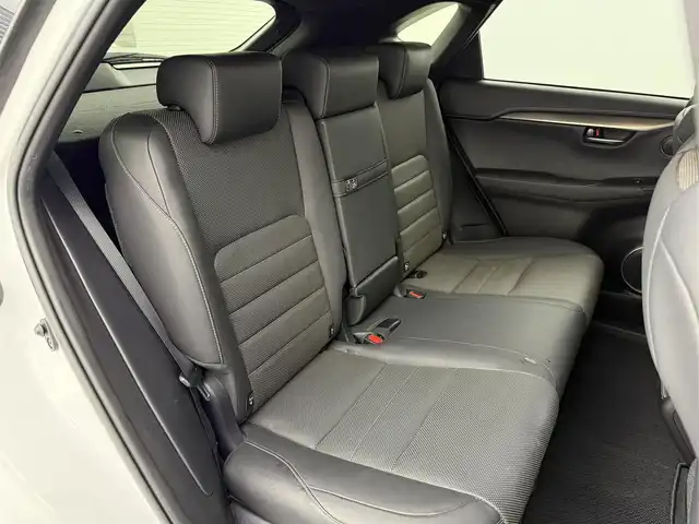 レクサス ＮＸ 300 Fスポーツ 徳島県 2018(平30)年 6.2万km ホワイトノーヴァガラスフレーク ホワイトアーチモール/純正ナビ/フルセグ・DVD・Bluetooth/全方位カメラ/プリクラッシュ/BSM/LDA/オートLEDライト/オートバックドア/前席シートヒーター/前席エアーシート/ステアリングヒーター/スマートキーX2/保証書・取扱説明書