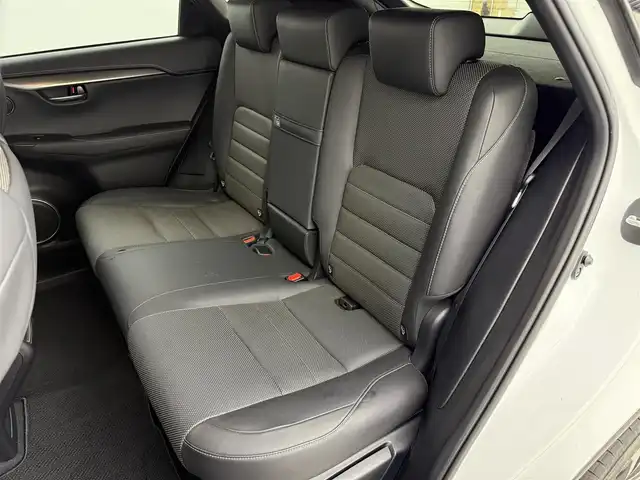 レクサス ＮＸ 300 Fスポーツ 徳島県 2018(平30)年 6.2万km ホワイトノーヴァガラスフレーク ホワイトアーチモール/純正ナビ/フルセグ・DVD・Bluetooth/全方位カメラ/プリクラッシュ/BSM/LDA/オートLEDライト/オートバックドア/前席シートヒーター/前席エアーシート/ステアリングヒーター/スマートキーX2/保証書・取扱説明書