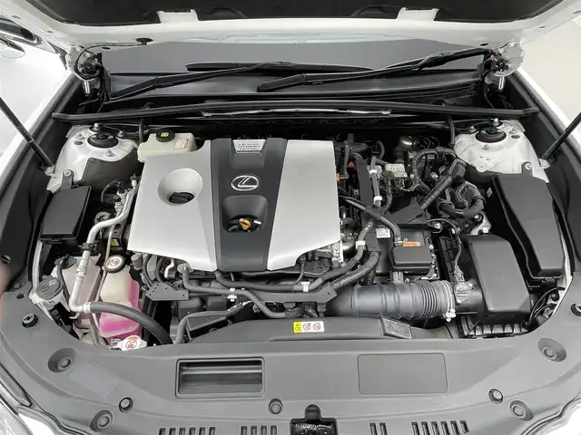 レクサス ＥＳ 300h Fスポーツ 茨城県 2019(平31)年 3万km ホワイトノーヴァガラスフレーク 純正12.3型ナビ/フルセグ/AM/FM/CD/Bluetooth/マークレビンソン(サウンド)/サンルーフ/バックカメラ/Lexus Safety System ＋/・プリクラッシュセーフティー/・レーントレーシングアシスト/・オートマチックハイビーム/・レーダークルーズコントロール/・ロードサインアシスト/D+N席　/・シートヒーター/・ベンチレーション/・パワーシート/ドラレコ/前後コーナーセンサー/　　　　　　　