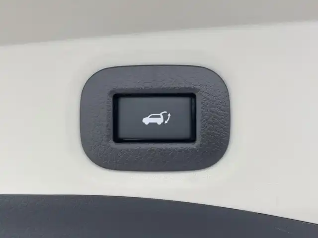 日産 エクストレイル 20Xi Vセレクション 群馬県 2020(令2)年 4.3万km ブリリアントホワイトパール ナビ　フルセグＴＶ　全周囲カメラ　プロパイロット　デジタルインナーミラー　衝突被害軽減ブレーキ　レーンアシスト　ＢＳＭ　シートヒーター　前席パワーシート　電動リアゲート　ＬＥＤ　スマートキー　禁煙車