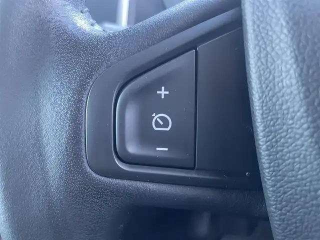 ルノー カングー パナシェ 栃木県 2021(令3)年 6.2万km グレー 社外ナビ　CN-F1X10D/フルセグTV/バックカメラ/ETC/ドライブレコーダー/クルーズコントロール/LEDヘッドライト/両側スライドドア/ヒッチメンバー/ルーフレール