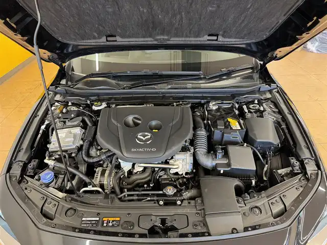 マツダ マツダ３セダン XD ブラックセレクション 群馬県 2025(令7)年 4.2万km ジェットブラックマイカ 安全装備/・衝突軽減ブレーキ/・オートライト/・横滑り防止/・360°カメラ/・ブラインドスポットモニター/・クルーズコントロール/・SOSコール/・コーナーセンサー/メーカー純正ナビ/・AM/FM/フルセグTV/・Bluetooth/SD/USB/・CD/DVD/MSV/HDMI/シートメモリー/前席シートヒーター/ハンドルヒーター/パドルシフト/LEDヘッドライト/電動パーキング/オートホールド/ETC/純正フロアマット/純正ドアバイザー/純正18インチアルミホイール/スマートキー/プッシュスタート
