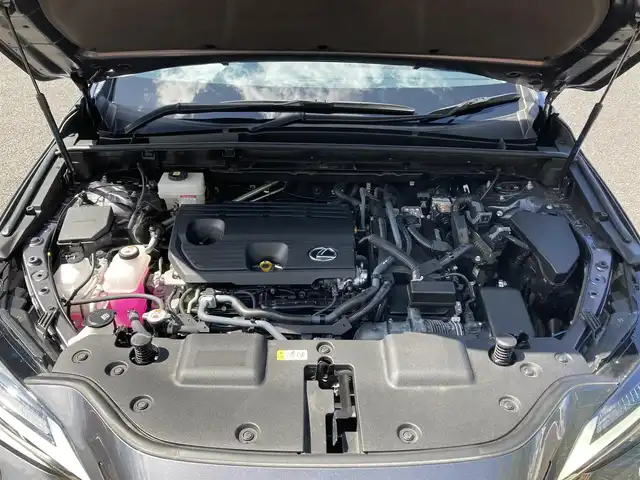 レクサス ＮＸ 350h 茨城県 2023(令5)年 1.2万km ソニッククロム ワンオーナー /純正ナビ/（FM/AM/BT/フルセグ） /アクティブクルーズコントロール /パワーシート /パワーバックドア /ドライブレコーダー/全方位カメラ /サンルーフ /ルーフレール /スマートキー /衝突軽減ブレーキ/ウィンカーミラー/プッシュスタート/コーナーセンサー/LEDヘッドライト/デジタルインナーミラー/パドルシフト/ブラインドスポットモニター