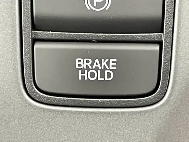 ホンダ フリード ハイブリット e:HEV クロスター 群馬県 2025(令7)年 0.1千km ベージュ 登録済未使用車　純正９インチメモリナビ　両側パワースライドドア　レーダークルーズコントロール　ＢＳＭ　バックカメラ　ステアリングリモコン　シートヒーター　オートライト　プッシュスタート　スマートキー