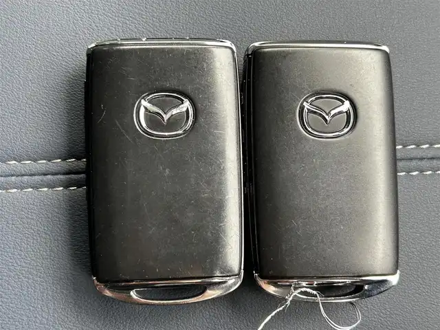マツダ ＣＸ－３０ 20S プロアクティブツーリングセレ 島根県 2019(令1)年 5.6万km ソウルレッドクリスタルM スマートシティブレーキ/純正ナビ/CD/DVD/DTV/Bluetooth/USB/バックカメラ/レーダークルーズコントロール/LEDオートライト/オートハイビーム/ステアリングスイッチ/パワーバックドア/パワーシート/メモリーシート /シートヒーター /ステアリングヒーター/ETC/ドライブレコーダー