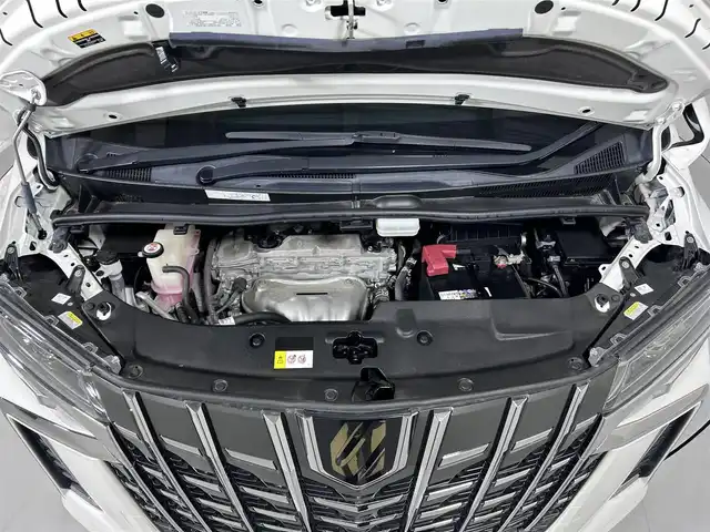 トヨタ アルファード S タイプゴールド 佐賀県 2020(令2)年 4.3万km ホワイトパールクリスタルシャイン 純正9インチディスプレイオーディオ/【Mirrorcast.Bluetooth】/純正12インチフリップダウンモニター/衝突被害軽減システム/デジタルインナールームミラー/ブラインドスポットモニター/レーダークルーズコントロール/ロードサインアシスト/レーンアシスト/パーキングサポートブレーキ/クリアランスソナー/オートマチックハイビーム/オートライト/両側パワースライドドア/パワーバックドア/ハーフレザーシート/セカンドシートオットマン/純正フロアマット/3眼LEDヘッドライト/フォグライト/純正18インチアルミホイール