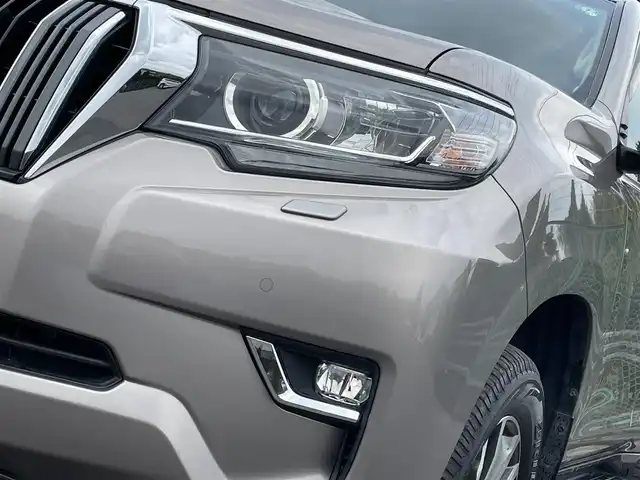 トヨタ ランドクルーザー プラド TX Lパッケージ 千葉県 2019(令1)年 6.6万km アバンギャルドブロンズメタリック 【ディーゼル 4WD 5人乗】/黒革シート/前席パワーシート/シートヒーター/シートベンチレーター/Tコネクトナビ/（Bluetooth・MSV・USB入力端子・フルセグTV/TVキャンセラー付）/パノラミックビューカメラ/フロント/サイド/バックカメラ/ビルトインETC2.0/プリクラッシュセーフティ/レーンディパーチャーアラート/レーダークルーズコントロール/オートハイビーム/オートライト/クリアランスソナー/センターデフロック/DAC/VIPERセキュリティ/ルーフレール/純正フロアマット