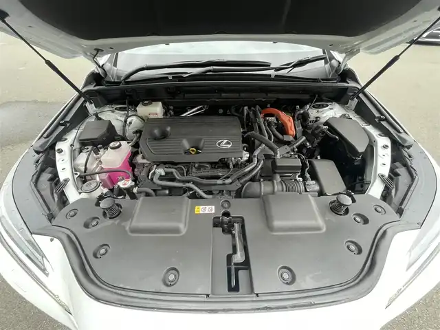 レクサス ＮＸ 350h Fスポーツ 東京都 2023(令5)年 1.8万km ホワイトノーヴァガラスフレーク パノラマルーフ/純正14インチディスプレイオーディオ/パノラミックビューモニター/デジタルインナーミラー/ビルトインETC2.0/ルーフレール/ヘッドアップディスプレイ/全席シートヒーター/前席ベンチレーションシート/ステアリングヒーター/パワーバックドア/AV100V/置くだけ充電/パドルシフト/Lexus Safety System ＋/プリクラッシュセーフティ/レーンキープアシスト/ブラインドスポットモニター/アダプティブハイビームシステム/アダプティブクルーズコントロール/コーナーセンサー
