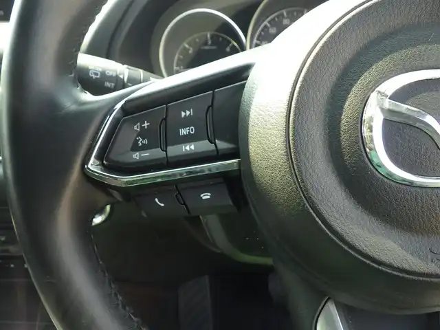 マツダ ＣＸ－８ XD プロアクティブ 千葉県 2018(平30)年 5.9万km ディープクリスタルブルーマイカ スマートシティブレーキサポート/ブラインドスポットモニタリング/アクティブ・ドライビング・ディスプレイ/パワーバックドア/運転席パワーシート/前席シートヒーター/純正SDナビ/地デジTV/【DVD/CD再生機能　Bluetooth接続】/360°ビュー・モニター/革巻きステアリング/ステアリングヒーター/ステアリングスイッチ/ETC/LEDヘッドライト/ウインカーミラー/コーナーセンサー/純正19インチアルミホイル/サイド/カーテンエアバッグ/アドバンストキーレスエントリー