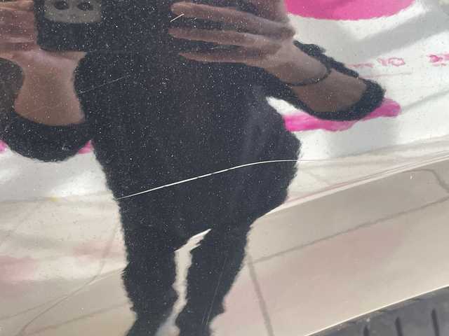 トヨタ ハリアー S 埼玉県 2020(令2)年 3.5万km ブラック セーフティセンス/純正ナビ/　　CD/DVD/フルセグ/USB/バックカメラ/レーダークルーズコントロール/LEDオートライト/オートハイビーム/純正17インチアルミホイール/プッシュスタート/アイドリングストップ