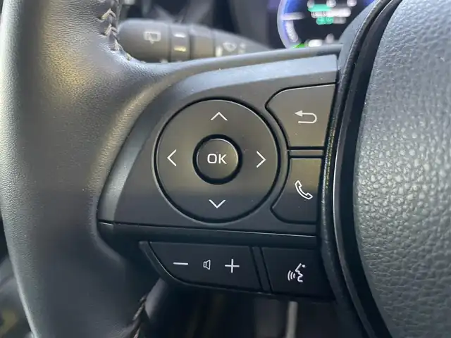 トヨタ カローラツーリング ハイブリッド ダブルバイビー 埼玉県 2023(令5)年 3万km マッシブグレー ・ワンオーナー/・純正ナビ/・アダプティブクルーズコントロール/・シートヒーター/・ハンドルヒーター/・バックカメラ/・コーナーセンサー/・置くだけ充電/・オートマチックハイビーム/・ドライブレコーダー