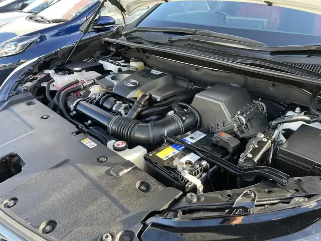 レクサス ＮＸ 300 Fスポーツ 兵庫県 2019(令1)年 3.6万km ホワイトノーヴァガラスフレーク 外部検査実施済み//ワンオーナー//OP マークレビンソンプレミアムサウンド//OP パノラミックビューモニター//OP パーキングサポートブレーキ//OP アダプティブハイビームシステム//OP BSM/RCTA//OP 3眼フルLEDヘッドランプ//OP パノラマルーフ（ガラスルーフ）//純正ナビ（10.3インチ）//TV/BT/USB/AUX/DVD/Miracast//TVキャンセラー//ステアリングリモコン//ビルトインETC//ドライブレコーダー//ハンズフリーパワーバックドア//純正18インチAW//Fスポーツ専用本革スポーツシート//前席ヒーター/ベンチレーション/パワーシート/D席メモリ//アイドリングストップ//純正ドライブレコーダー//シーケンシャルターンランプ//クリアランスソナー//PCS/LTA/RSA//レーダークルーズコントロール