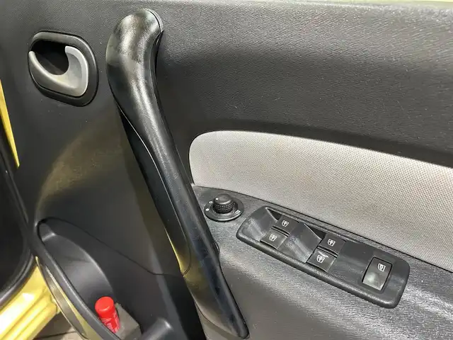 ルノー カングー ゼン 愛知県 2016(平28)年 4.6万km ジョンアグリュム カロッツェリアナビ/フルセグTV/バックカメラ/ＥＴＣ/シートカバー取付/ドアバイザー