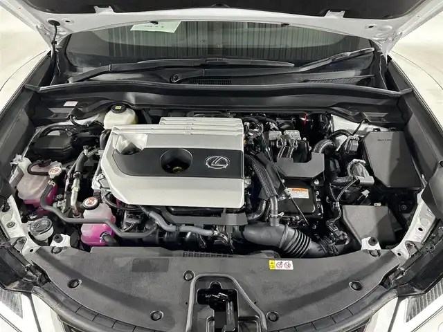 レクサス ＵＸ 250h Fスポーツ 佐賀県 2023(令5)年 0.3万km ホワイトノーヴァガラスフレーク 純正12.3インチコネクティッドナビ/【フルセグTV。Bluetooth】/衝突被害軽減システム/レーダークルーズコントロール/先行車発進お知らせ機能/ロードサインアシスト/レーンアシスト/パーキングサポートブレーキ/オートブレーキホールド/クリアランスソナー/オートマチックハイビーム/オートライト/バックカメラ/前後ドライブレコーダー/ビルトインETC2.0/３眼LEDヘッドライト/ドアミラーヒーター/ステアリングヒーター/パワーバッグドア/運転席・助手席パワーシート/運転席・助手席シートヒーター/純正フロアマット/フォグライト/パドルシフト/純正18インチアルミホイール/スペアキ×1