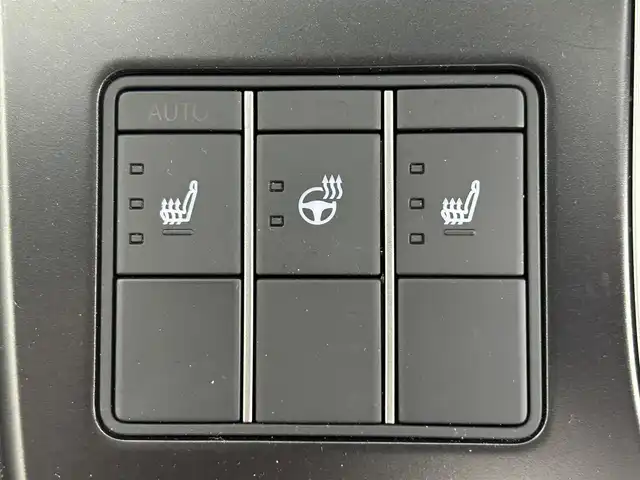 レクサス ＵＸ 250h Fスポーツ 佐賀県 2023(令5)年 0.3万km ホワイトノーヴァガラスフレーク 純正12.3インチコネクティッドナビ/【フルセグTV。Bluetooth】/衝突被害軽減システム/レーダークルーズコントロール/先行車発進お知らせ機能/ロードサインアシスト/レーンアシスト/パーキングサポートブレーキ/オートブレーキホールド/クリアランスソナー/オートマチックハイビーム/オートライト/バックカメラ/前後ドライブレコーダー/ビルトインETC2.0/３眼LEDヘッドライト/ドアミラーヒーター/ステアリングヒーター/パワーバッグドア/運転席・助手席パワーシート/運転席・助手席シートヒーター/純正フロアマット/フォグライト/パドルシフト/純正18インチアルミホイール/スペアキ×1