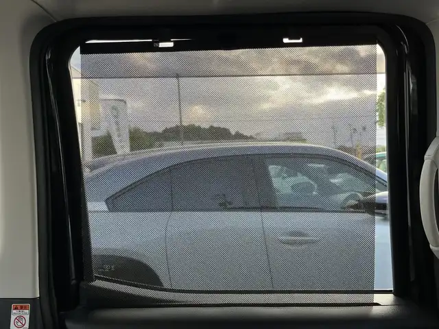 日産 デイズ ルークス HWS X Vセレ +SeftyⅡ 三重県 2015(平27)年 2.3万km ブラック アラウンドビューモニター/エマージェンシーブレーキ/踏み間違い防止アシスト/純正ナビ（AM/FM/TV/DVD/CD/Bluetooth/HDMI/SD/AUX）/パワースライドドア（助手席側）/スライドドアオートクローザー（運転席側）/オートエアコン/プッシュエンジンスターター/スペアキー/後席サンシェード/オーバーヘッドコンソール/リアツーリングファン/アイドリングストップ/内装色インサイドドアハンドル/ピアノブラック調パワーウインドウスイッチベース/ボディ同色ドアミラー/サイドシルスポイラ/リアスポイラー/純正フロアマット/純正ドアバイザー/クリアレンズLEDリアコンビネーションランプ/ファインビジョンメーター/革巻きハンドル/ブラックスエード調クロスシート