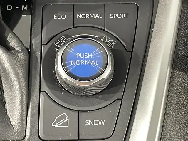 トヨタ ＲＡＶ４ アドベンチャー オフロードPKG 愛知県 2021(令3)年 3.5万km グレーメタリック 純正９インチディスプレイナビ　/(Bluetooth/フルセグＴＶ/FM/AM/Miracat)　/トヨタセーフティセンス　/　　-プリクラッシュセーフティ/　　-レーダクルーズコントロール　/　　-レーントレーニングアシスト/　　-オートマチックハイビーム/　　-ロードサインアシスト/ビルトインＥＴＣ　/バックモニター　/ドライブレコーダー　/ブラインドスポットモニター　/クリアランスソナー/運転席パワーシート/ＵＳＢ接続　/ＬＥＤヘッドライト/LEDフォグランプ