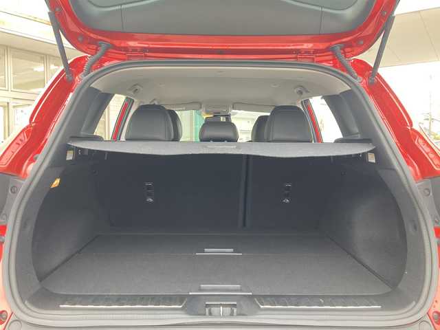 ルノー カジャー インテンス 山形県 2019(平31)年 7.2万km 赤 マルチファンクションディスプレイ/Bluetooth/FM/AM/USB/バックカメラ/ETC/エマージェンシーブレーキサポート/レーンディパーチャーウォーニング(車線逸脱警報)/ブラインドスポットワーニング(後側方車両検知警報)/オートハイ／ロービーム/前後クリアランスソナー/イージーパーキングアシスト/クルーズコントロール/ステアリングスイッチ/D/N シートヒーター/D パワーシート/LEDヘッドライト/フォグランプ/オートライト/プッシュスタート/電格ミラー/ルーフレール/革巻きステアリング/ISOFIX/スペアキー1本/新車時保証書/取扱説明書