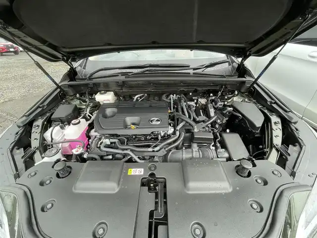 レクサス ＮＸ 350h 群馬県 2024(令6)年 0.3万km テレーンカーキマイカM 純正12インチメモリーナビ /サンルーフ　/フルセグ　/Miracast /LST+/Bluetooth　/LDA　/RCTA　/ステアリングヒーター　/BSM　/前席エアシート　/パドルシフト　/パワーバックドア/ビルトインETC2.0/全範囲カメラ/PCS/純正前後ドラレコ/AHB/純正マット/前席パワーシート/純正アルミホイール/PKSB　　