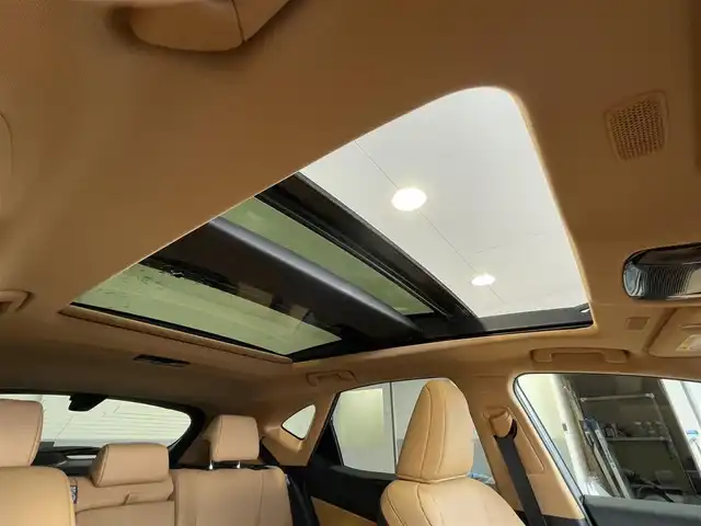 レクサス ＮＸ 350h 群馬県 2024(令6)年 0.3万km テレーンカーキマイカM 純正12インチメモリーナビ /サンルーフ　/フルセグ　/Miracast /LST+/Bluetooth　/LDA　/RCTA　/ステアリングヒーター　/BSM　/前席エアシート　/パドルシフト　/パワーバックドア/ビルトインETC2.0/全範囲カメラ/PCS/純正前後ドラレコ/AHB/純正マット/前席パワーシート/純正アルミホイール/PKSB　　