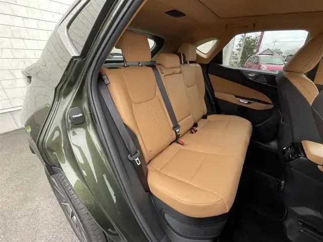 レクサス ＮＸ 350h 群馬県 2024(令6)年 0.3万km テレーンカーキマイカM 純正12インチメモリーナビ /サンルーフ　/フルセグ　/Miracast /LST+/Bluetooth　/LDA　/RCTA　/ステアリングヒーター　/BSM　/前席エアシート　/パドルシフト　/パワーバックドア/ビルトインETC2.0/全範囲カメラ/PCS/純正前後ドラレコ/AHB/純正マット/前席パワーシート/純正アルミホイール/PKSB　　