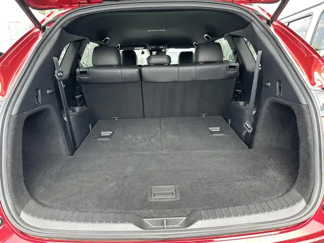 マツダ ＣＸ－８ XD プロアクティブ Sパッケージ 滋賀県 2020(令2)年 5.7万km ソウルレッドクリスタルM 純正ナビ/Bluetooth/CD/DVD/FM/M/AUX/フルセグテレビ/全方位カメラ/アドバンスドスマートシティブレーキサポート/ブラインドスポットモニタリング/パーキングセンサー/レーダークルーズコントロール/スマートブレーキサポート/レーンキープアシストシステム/ヘッドアップディスプレイ/ブラック革シート/パワーシート/シートヒーター /シートベンチレーション/ステアヒーター/LEDヘッドライト/フォグランプ/プッシュスタート /スマートキー/スペアキー/純正フロアマット