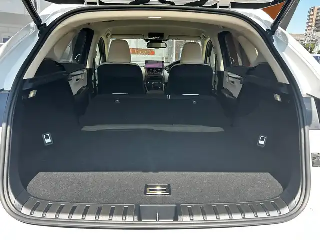 レクサス ＮＸ 300 Iパッケージ 富山県 2018(平30)年 8.7万km ソニッククォーツ AM/FMラジオ/CD/DVD再生/Bluetooth接続/フルセグTV/Miracast/４WD/LEDヘッドランプ/クサスセーフティシステム＋/プリクラッシュセーフティ/レーダークルーズコントロール/レーンディパーチャーアラート/アダプティブハイビームシステム/パドルシフト/AWDロックモード/横滑り防止装置/アイドリングストップ/L-tex素材シート/パワーシート/シートヒーター/ステアリングヒーター/パワーバックドア/10.3インチナビ/バックカメラ・サイドカメラ/ETC2.0/純正17インチAW