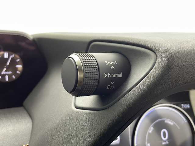 レクサス ＵＸ 250h バージョンC 愛知県 2020(令2)年 3.8万km ソニックチタニウム 純正メーカーナビ/AM/FM/CD/DVD/サウンドライブラリ/SD/USB/BT/Miracast/AUX/フルセグTV/バックカメラ/ビルトインETC/前列オートシートヒーター/オートステアリングヒーター/本革シート（茶革）/D/N席パワーシート/D席シートメモリー/レクサスセーフティシステム+/PCS/LTA/LDA/AHB/AHS/ACC/RSA/TMN/BSM/PKSA/パドルシフト/ステアリングスイッチ/本革巻きステアリング/電動格納ウィンカーミラー/USB充電ポート/type-C充電ポート/ブレーキオートホールド/17インチ純正アルミホイール/LEDオートヘッドライト/LEDフォグライト/パワーバックドア/純正フロアマット/ドライブレコーダー/スペアカードキー