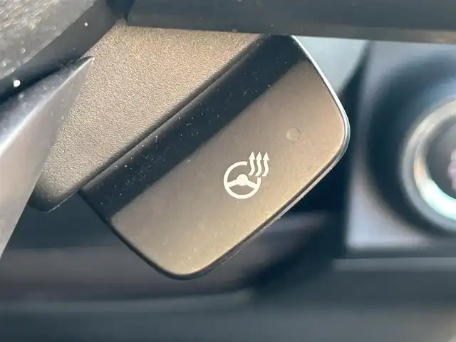 スバル フォレスター ハイブリッド アドバンス 広島県 2020(令2)年 5.7万km マグネタイトグレーメタリック 純正８インチナビ　　　　CN-LR840DFD/ 「Bluetooth/フルセグ/CD/DVD」/ALPINEフリップダウンモニター　　TMX-RM3205/ステアリングヒーター　/全席シートヒーター　/シートメモリ　/デジタルインナーミラー/ハーフレザーシート　/レーダークルーズコントロール/バックカメラ/パドルシフト　/ヘッドライトレベライザー/衝突軽減ブレーキシステム　/ＥＴＣ/ドライブレコーダー/車線逸脱防止システム/コーナーセンサー/LEDヘッドライト/純正１８インチアルミ/純正フロアマット/スマートキー/プッシュスタート/保証書/取扱説明書